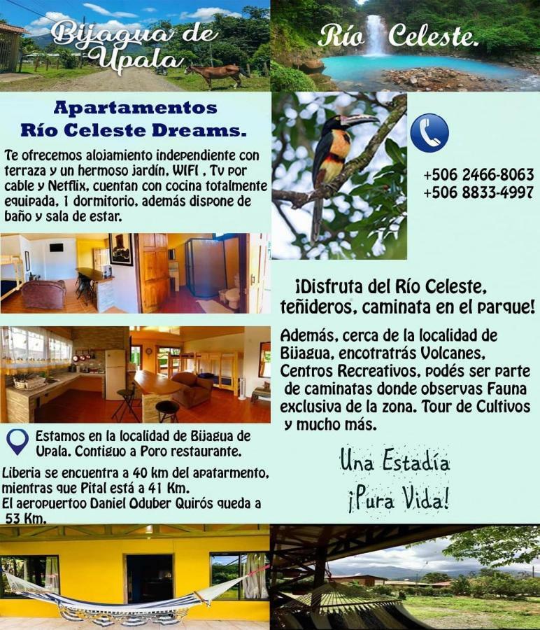 Apartamento Rio Celeste Dreams Bijagua Esterno foto